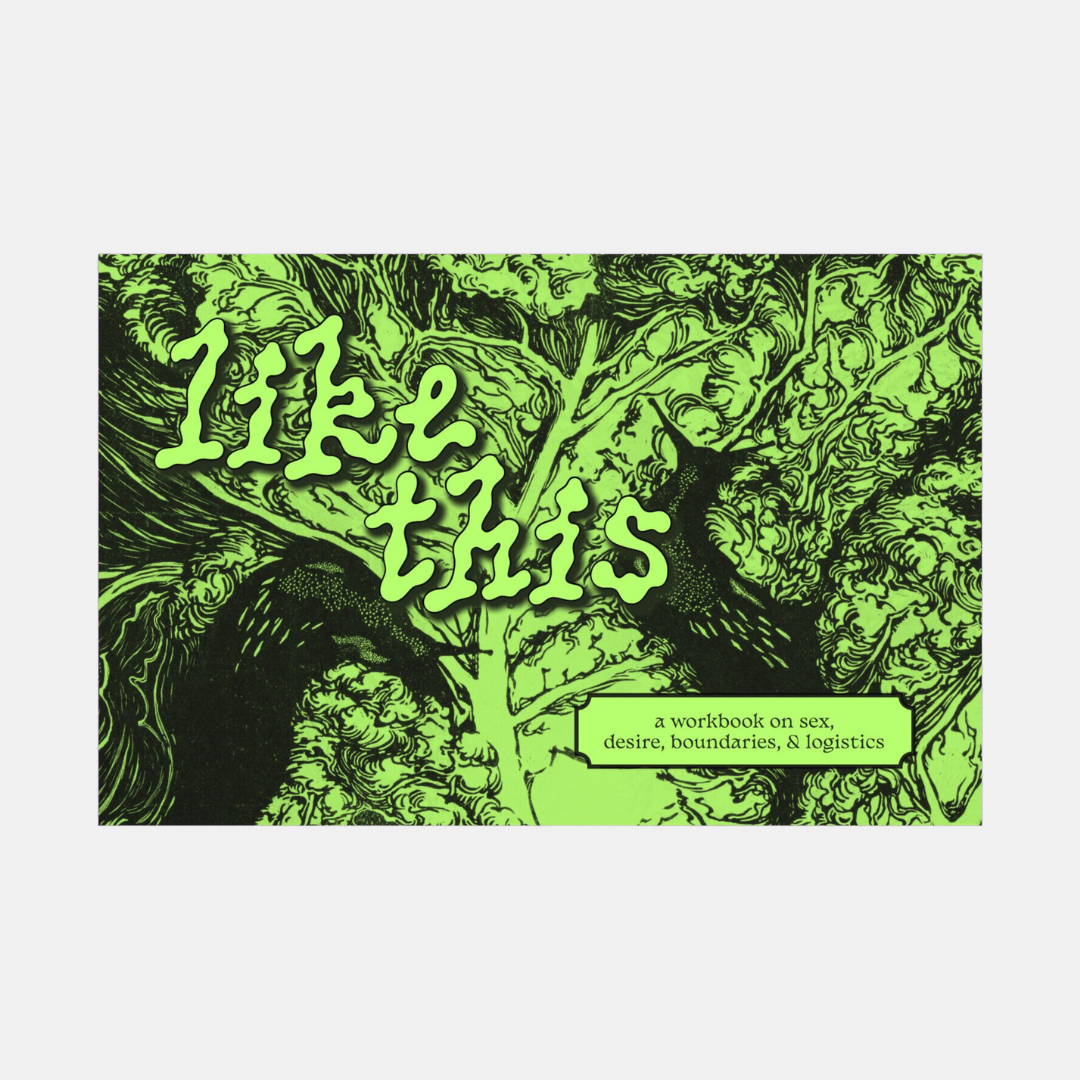 Like This: A Workbook On Sex, Desire, Boundaries, And Logistics Zine