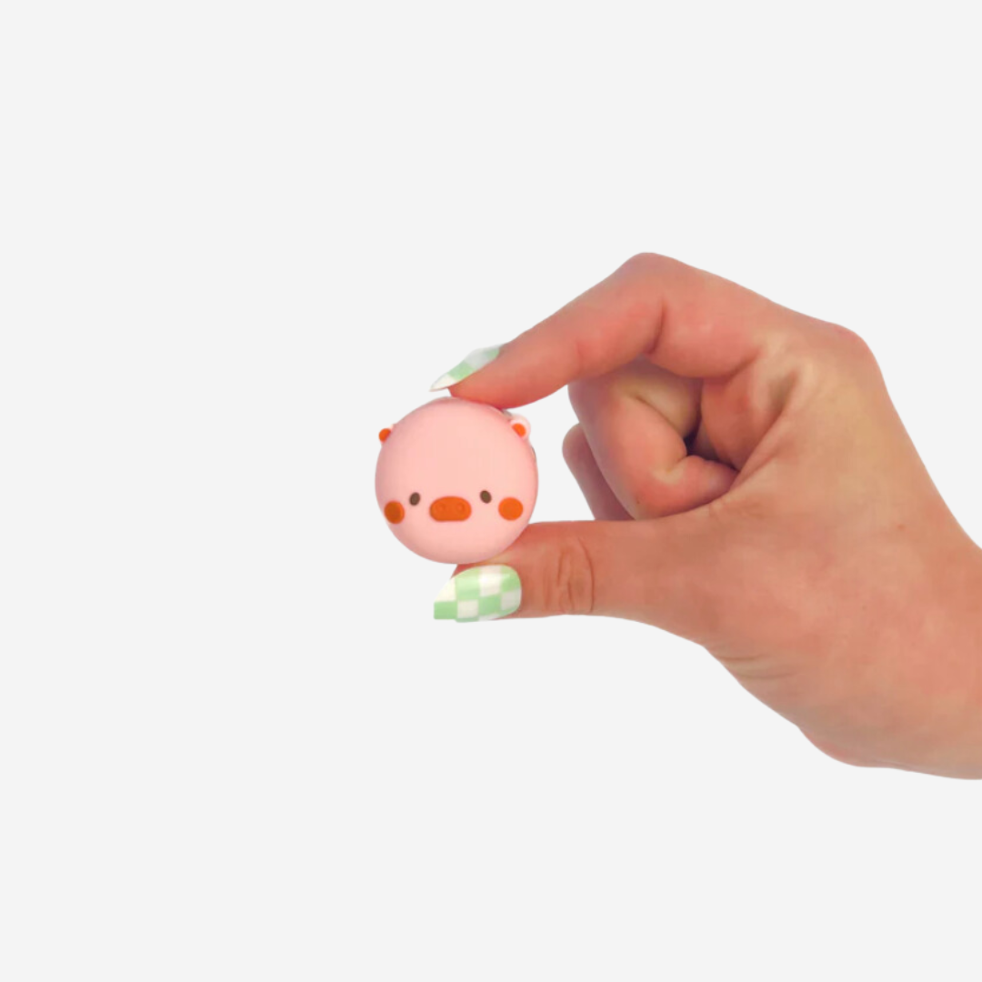 Piggy Container