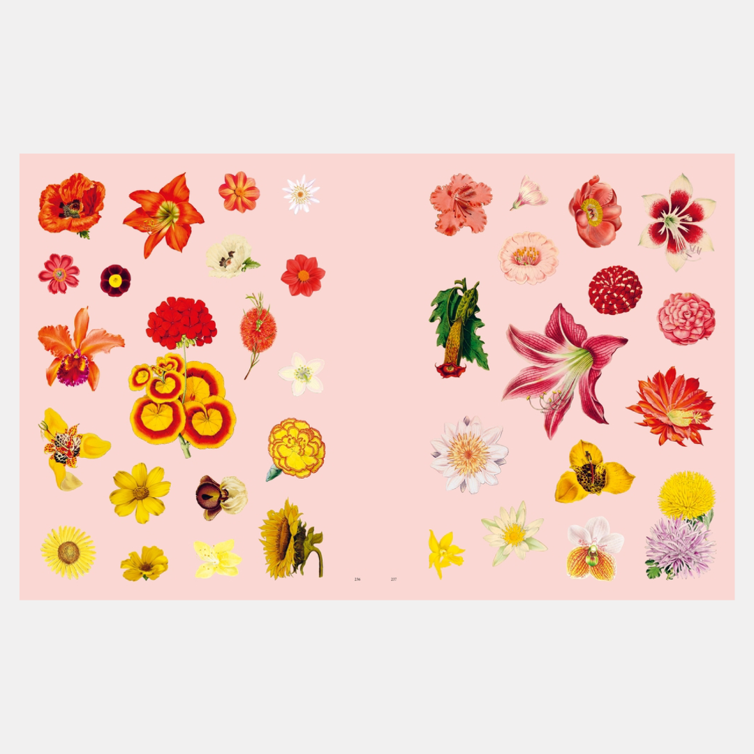 Extraordinary Things Sticker Book