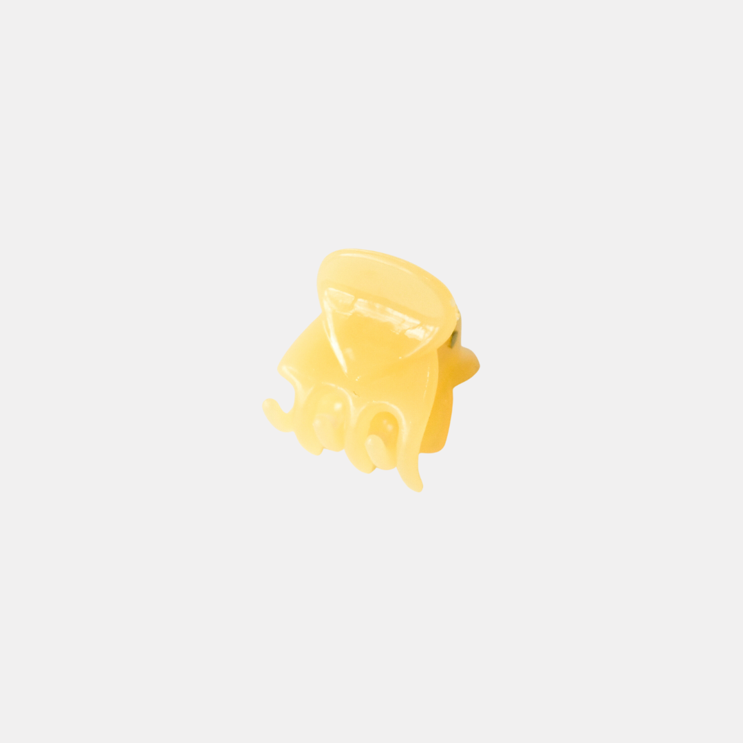 Frosted Mini Hair Claw
