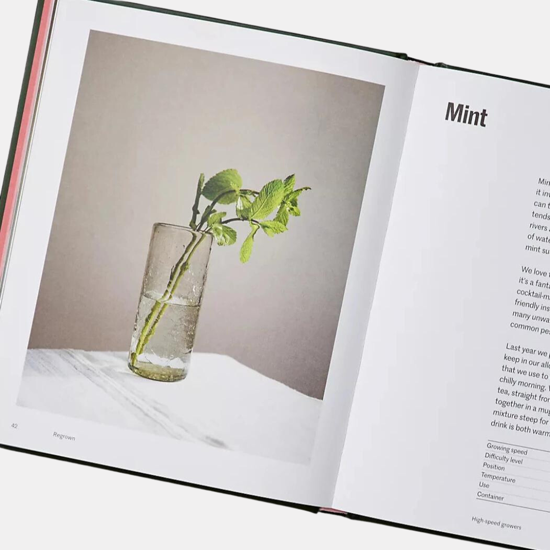 Regrown: How to Grow a Garden on Your Windowsill