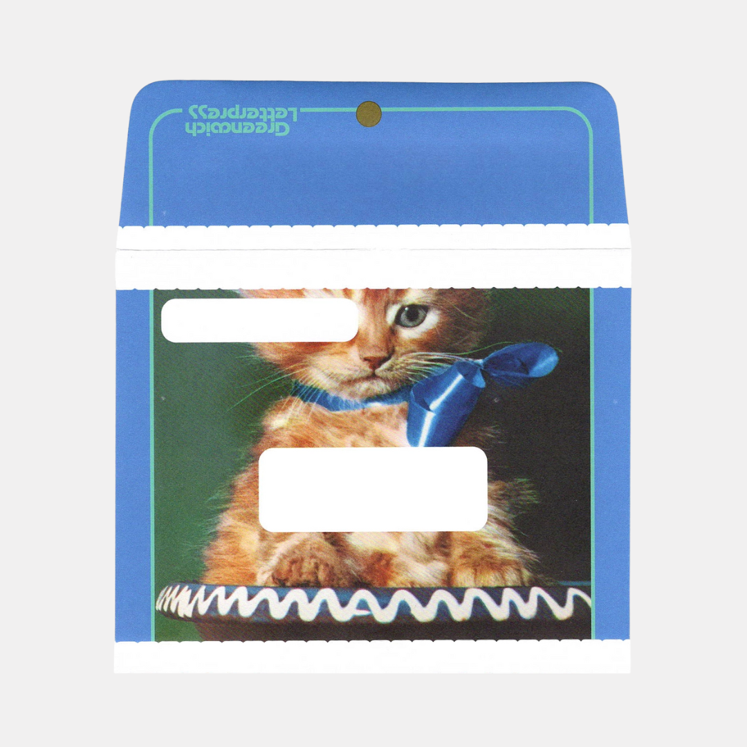 Blue Cat Envelope + Card Set