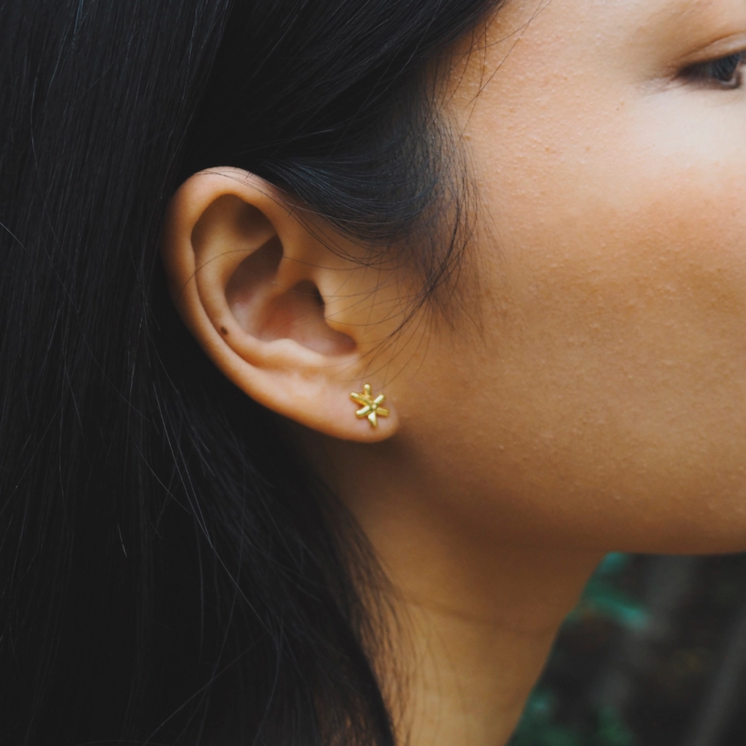 Gold Star Studs