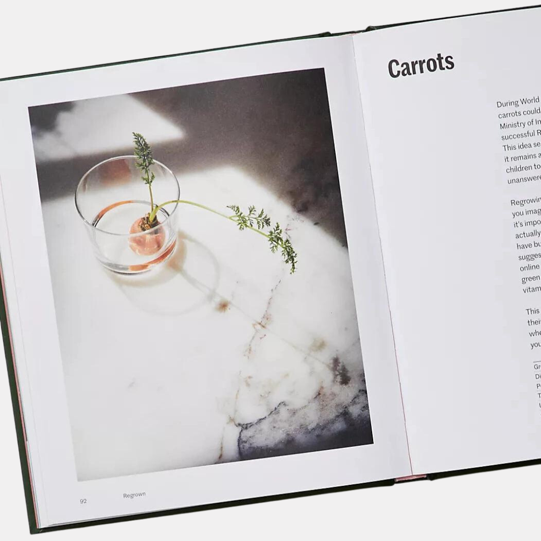 Regrown: How to Grow a Garden on Your Windowsill