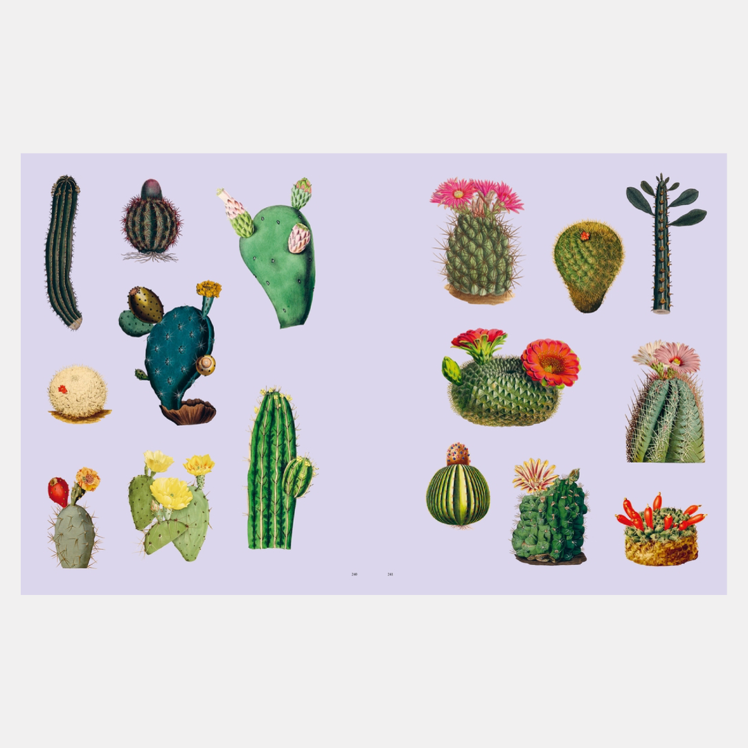 Extraordinary Things Sticker Book