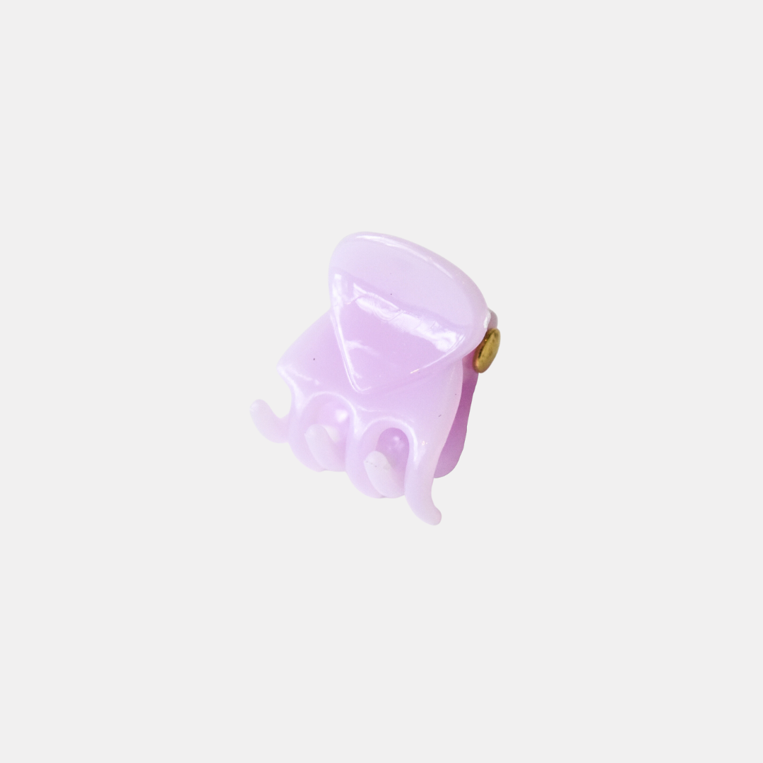 Frosted Mini Hair Claw