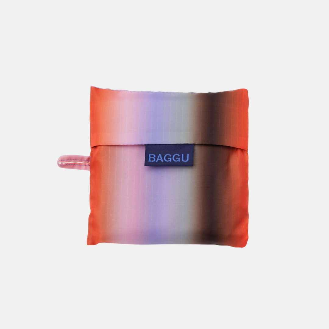 Gradient Stripe Poppy & Lilac Standard Baggu