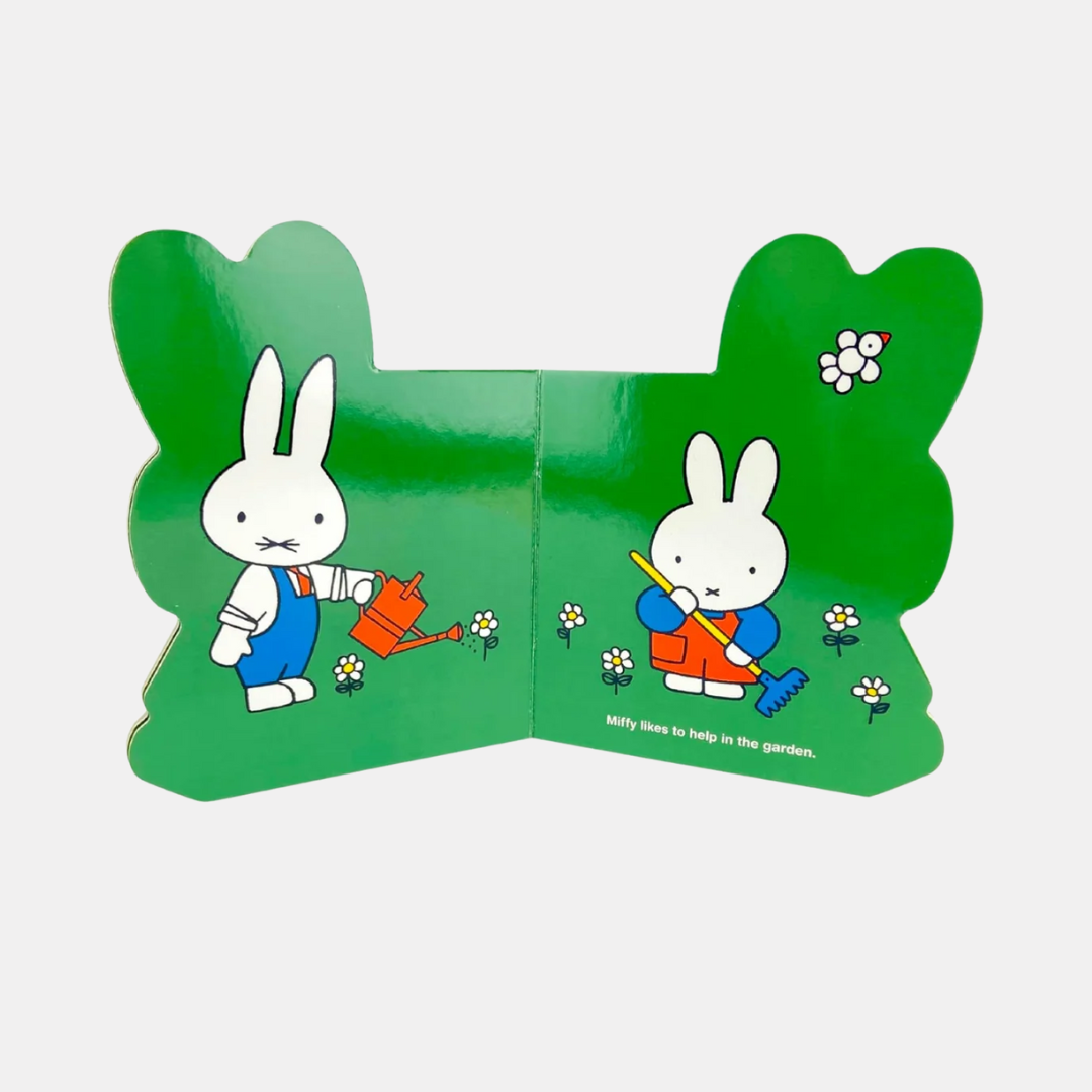 Miffy A Surprise For Father Bunny