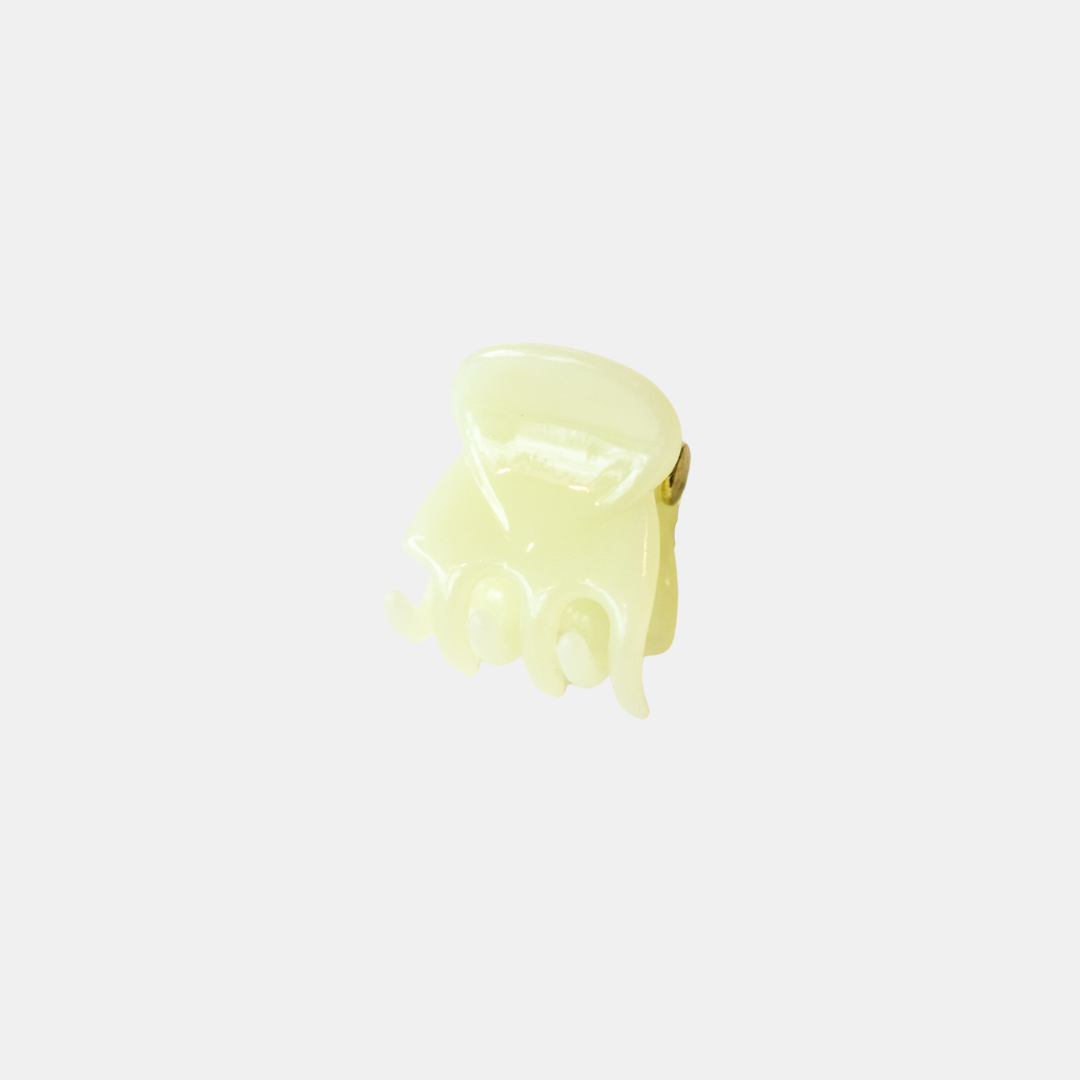 Frosted Mini Hair Claw