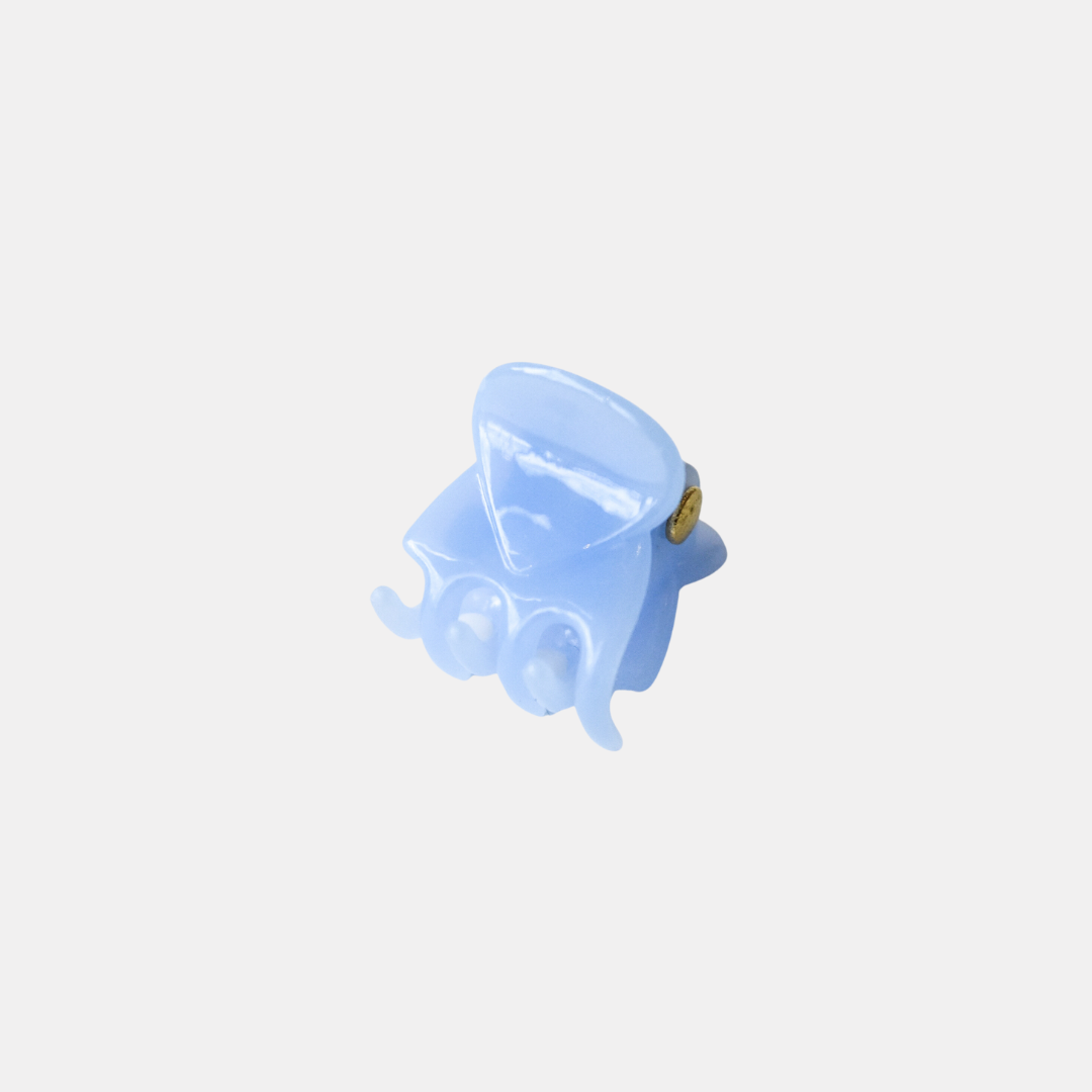 Frosted Mini Hair Claw