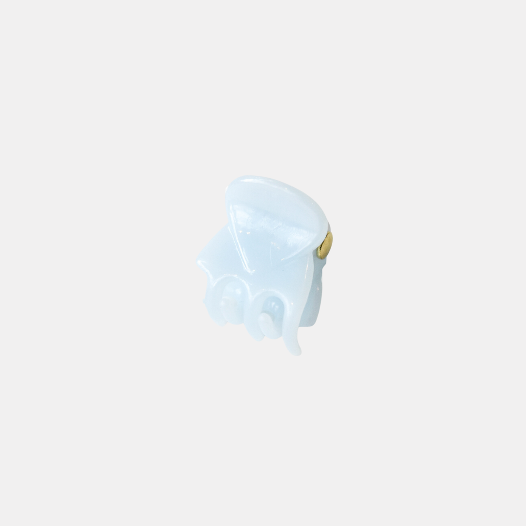 Frosted Mini Hair Claw