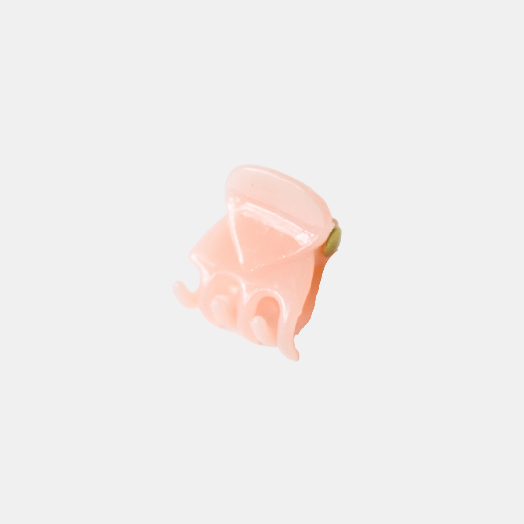 Frosted Mini Hair Claw