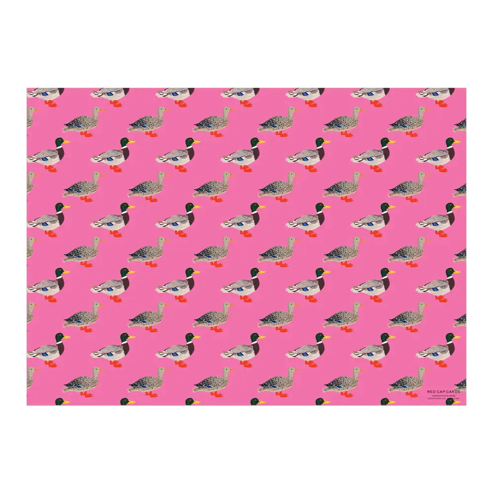 Quacky Birthday Gift Wrap