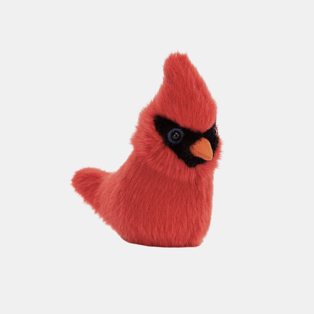 Birdling Cardinal