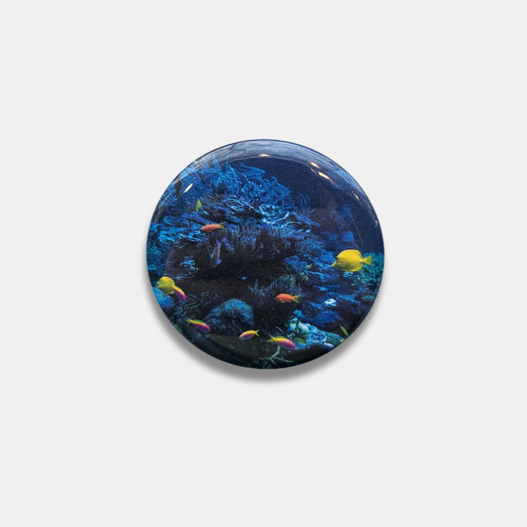 Ocean View Magnet