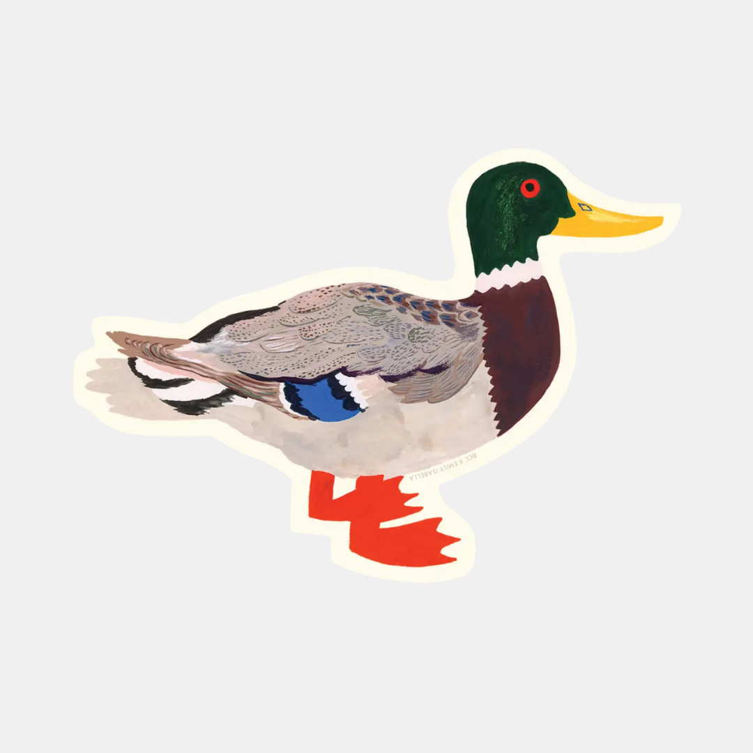 Mallard Sticker