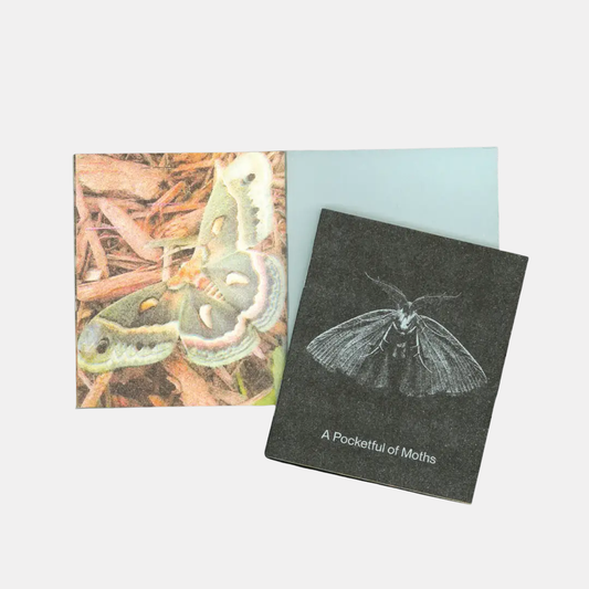 A Pocketful of Moths Mini Zine
