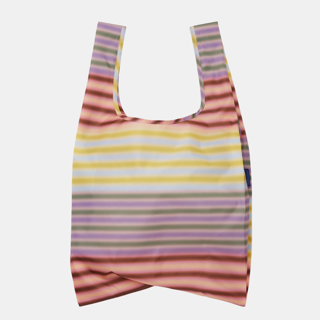 Gradient Stripe Multi Standard Baggu