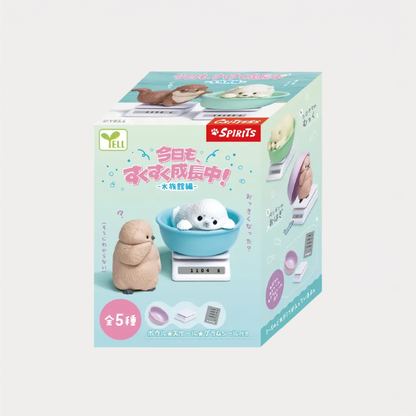 Growing Up: Aquarium Edition Blind Box