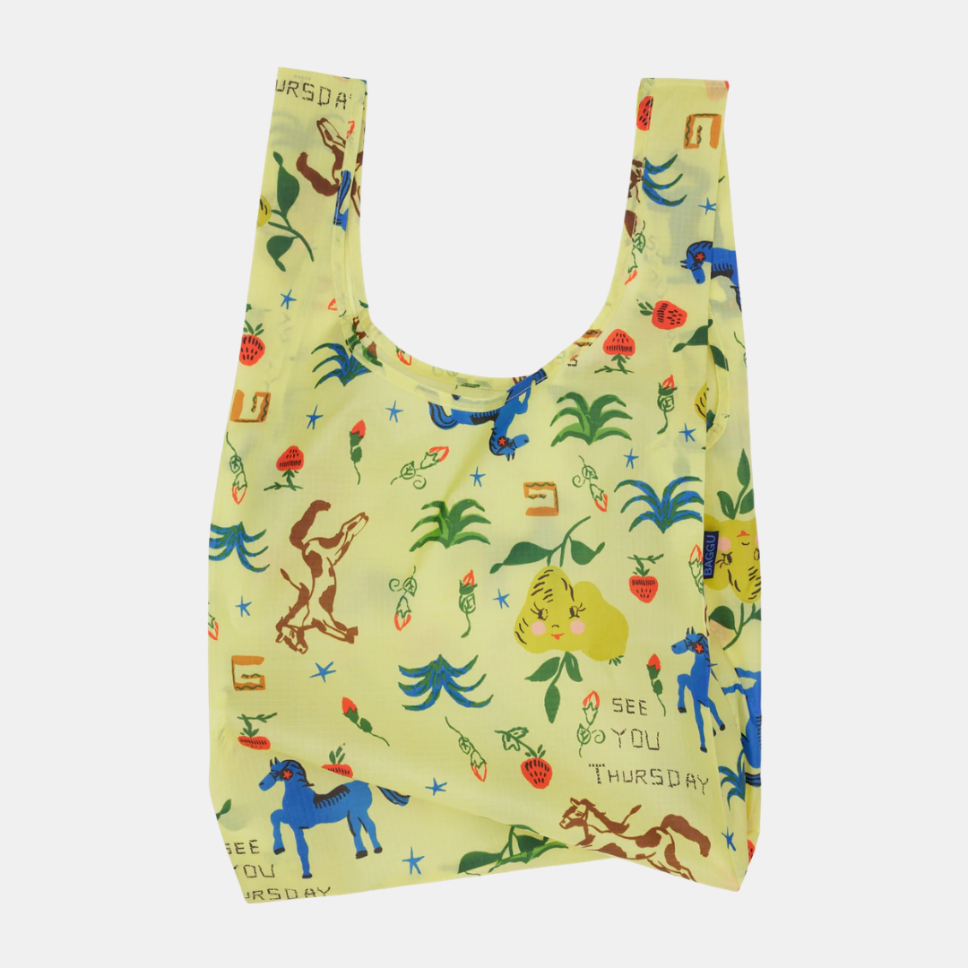 Painted Prairie Standard Baggu
