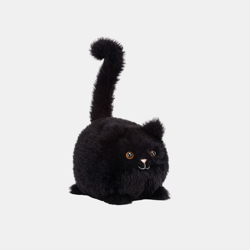 Kitten Caboodle Black