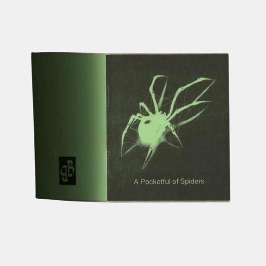 A Pocketful of Spiders Mini Zine