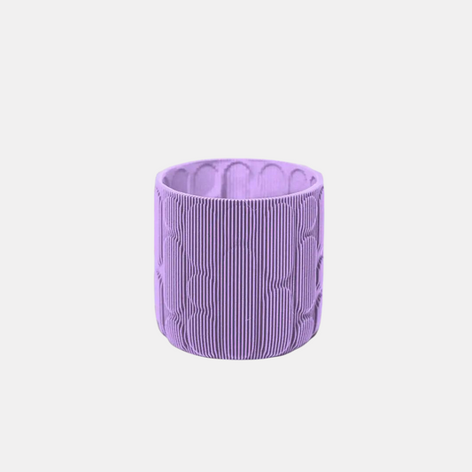 Cactus Plant Pot