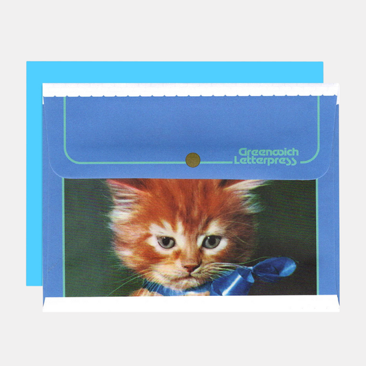 Blue Cat Envelope + Card Set