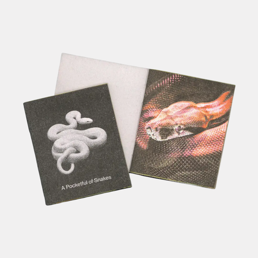 A Pocketful of Snakes Mini Zine