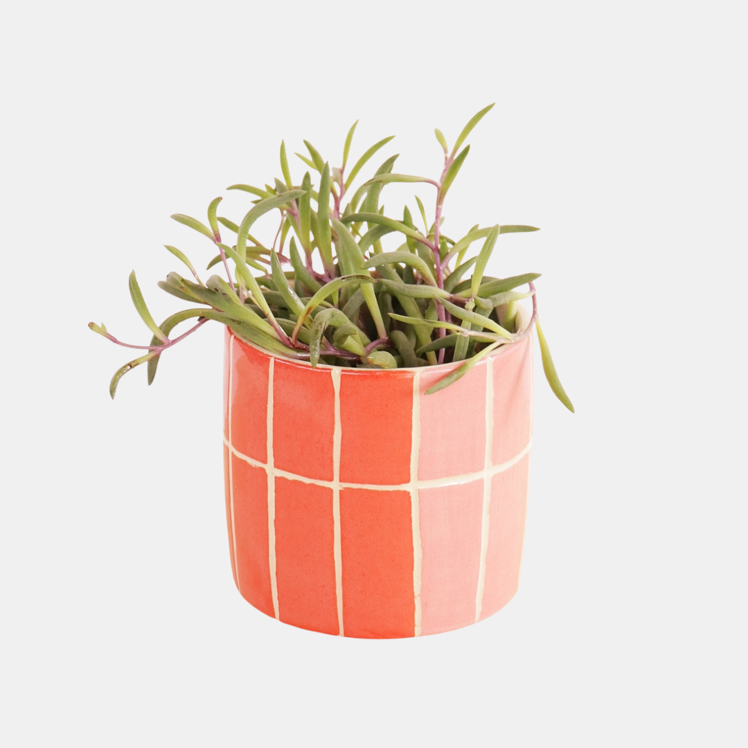 Pink + Red Tile Small Ceramic Plant Pot