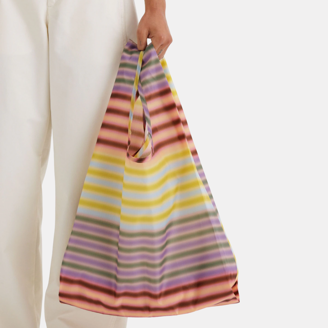 Gradient Stripe Multi Standard Baggu