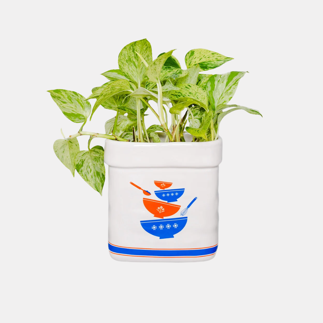 Sugar Jar Planter