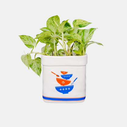 Sugar Jar Planter