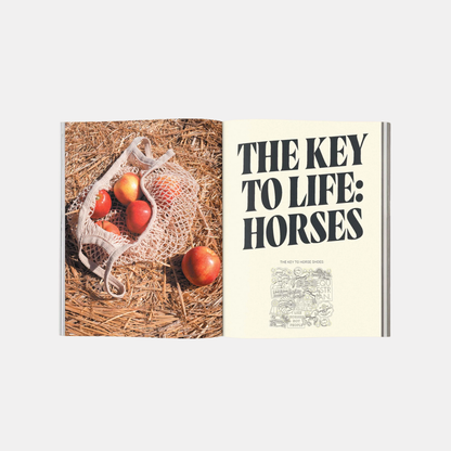 Calling All Horse Girls Magazine Vol. 2: Working