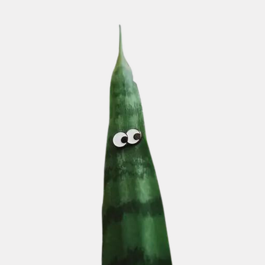 Googly Eyes Magnetic Plant Charm