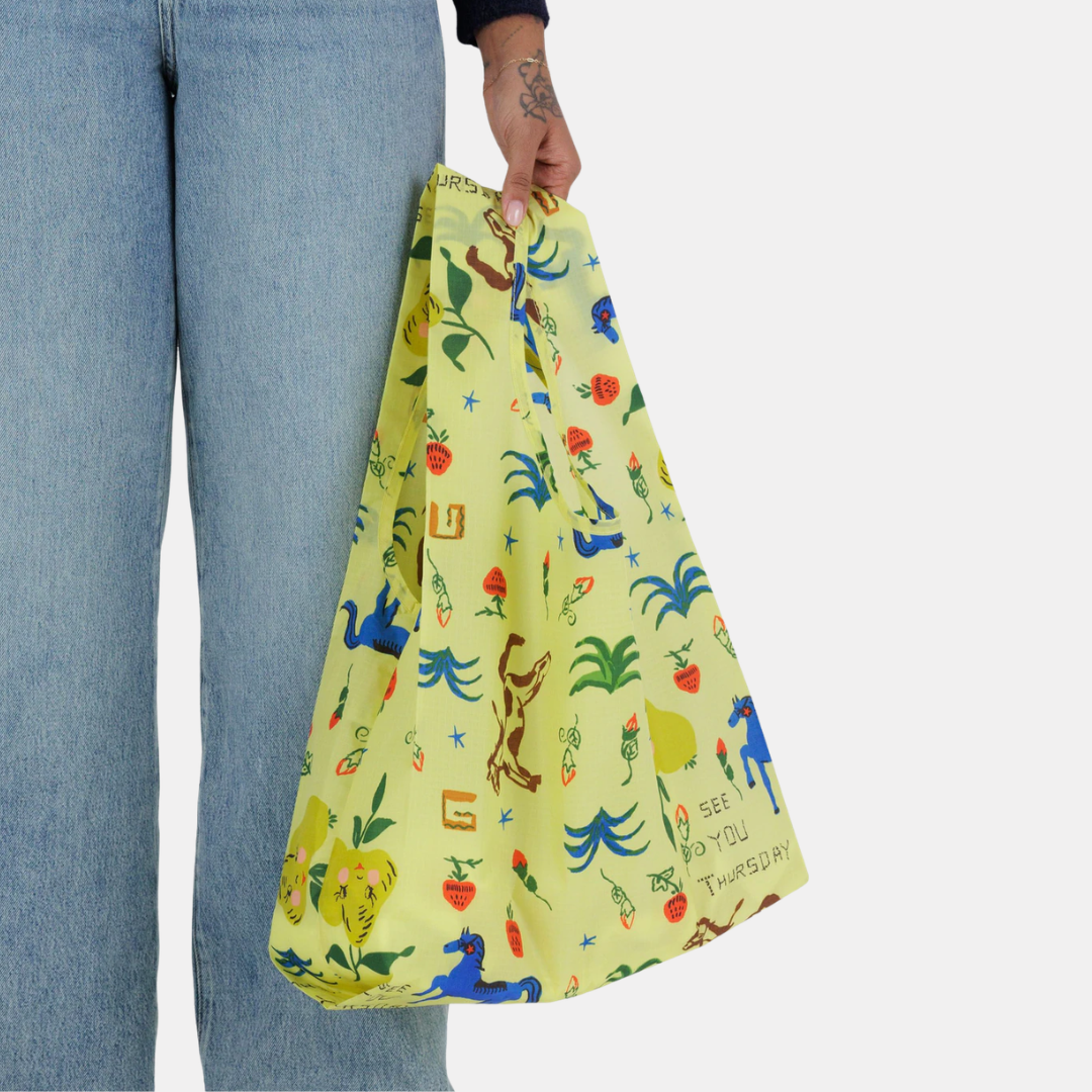 Painted Prairie Standard Baggu