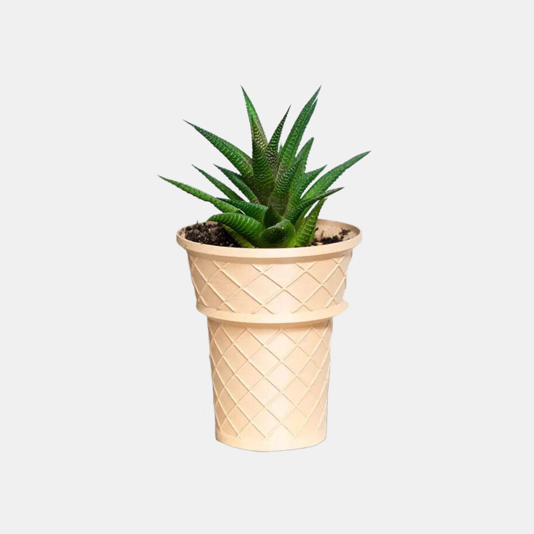 Ice Cream Cone Plant Pot