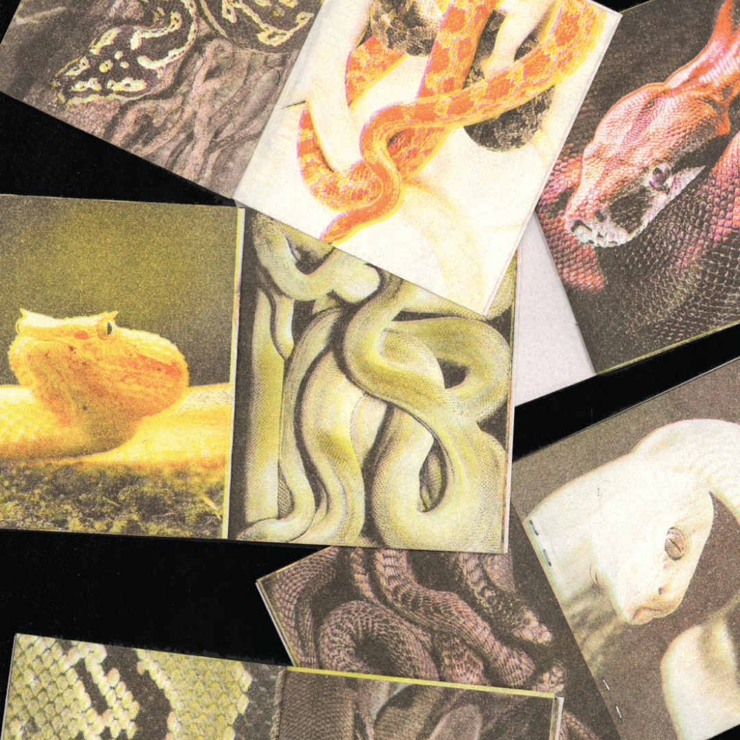 A Pocketful of Snakes Mini Zine