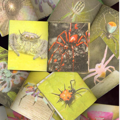 A Pocketful of Spiders Mini Zine