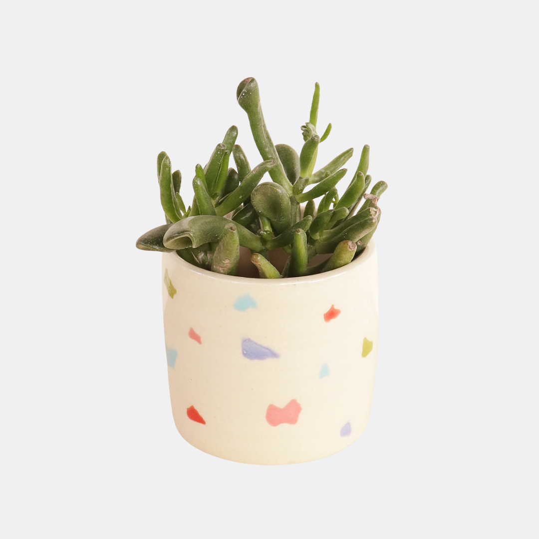 Terrazzo Speckle Small Ceramic Plant Pot