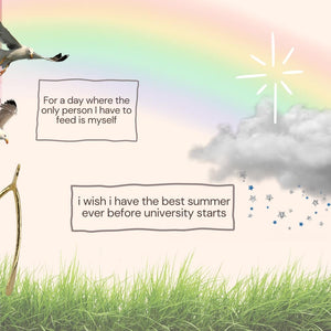 My Summer Wish