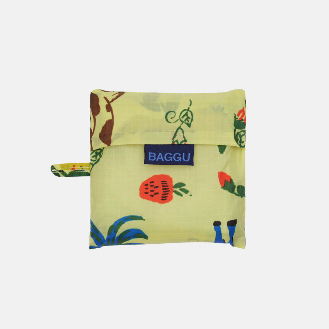 Painted Prairie Standard Baggu