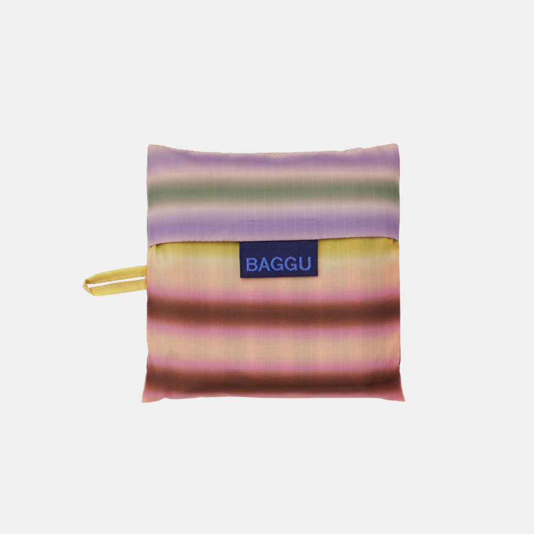 Gradient Stripe Multi Standard Baggu