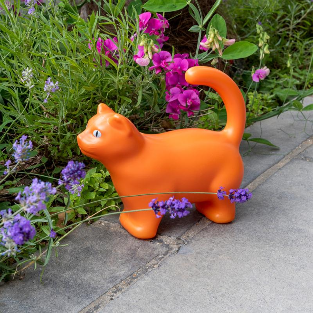 Cat Watering Can