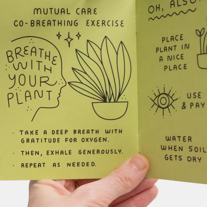 How To Keep A Plant Alive Zine