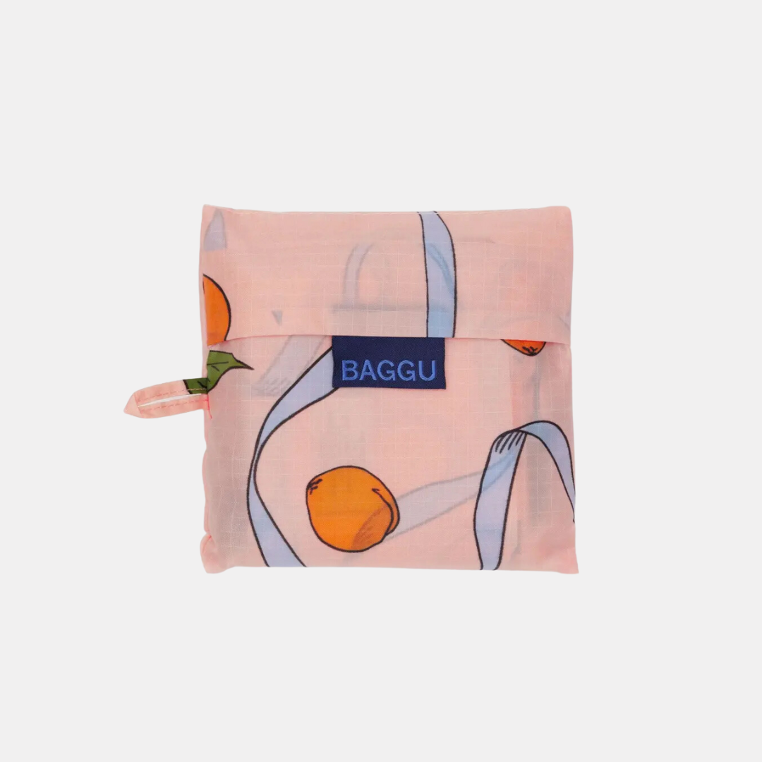 Apricots + Ribbons Standard Baggu
