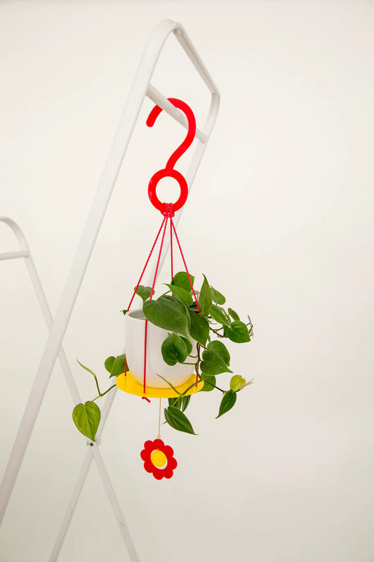 Daisy Plant Hanger