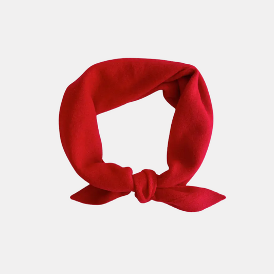 Red Neck Scarf