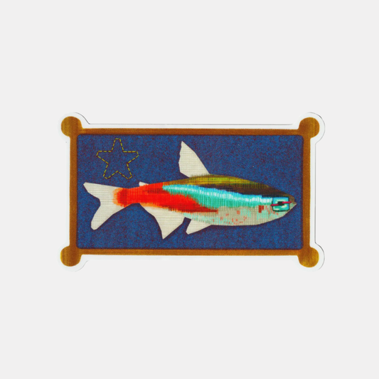 Fish Frame Sticker