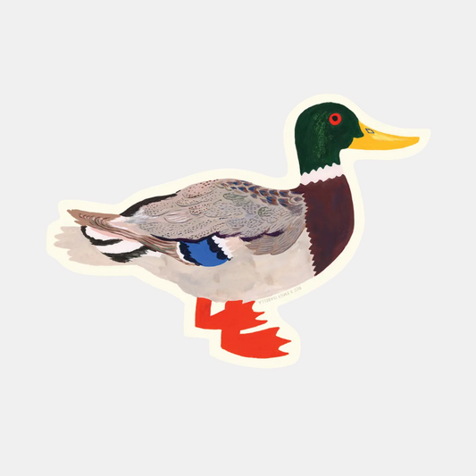 Mallard Sticker
